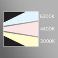 NT-R3202 Rechargeable Mountable & Detachable Painters Light, Color Match Light, CRI 95+, 3 Color Temp Modes (Pre-order now, ship in mid-November)